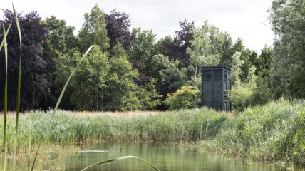 Vroegmorgenwandeling